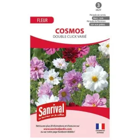 Graines de cosmos double