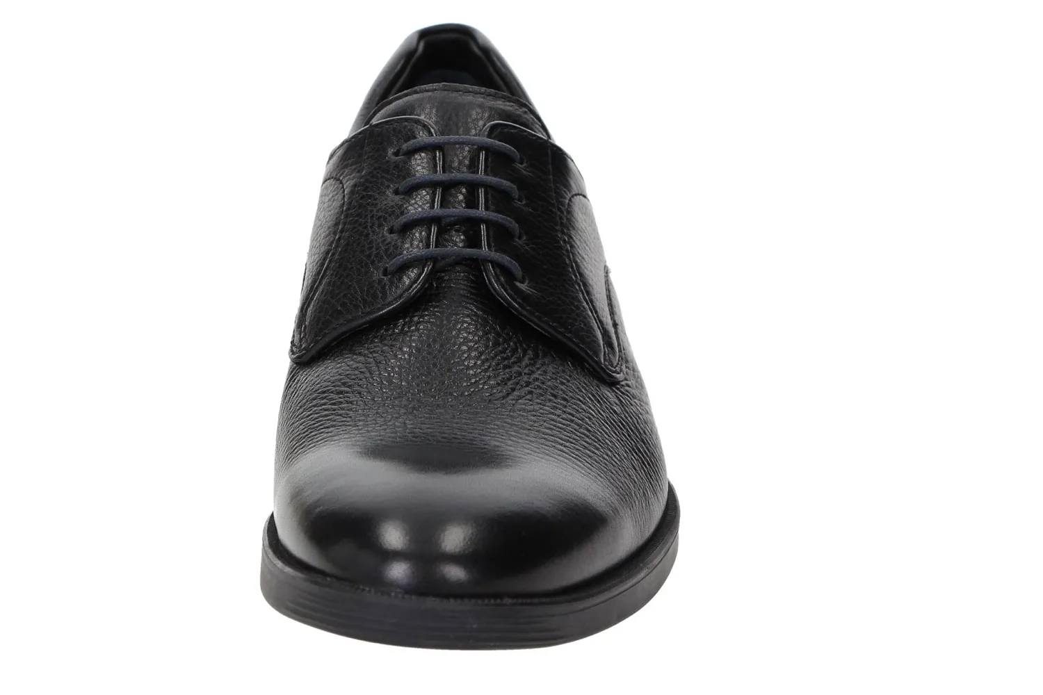 Sioux derby forello noir